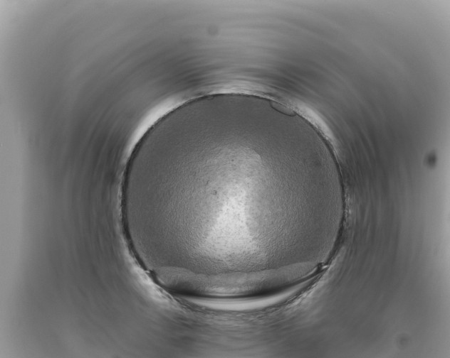 X0000093741138200710231206