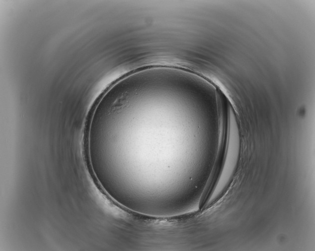 X0000093741139200710231206
