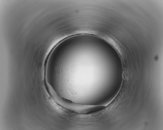 X0000093741140200710231206