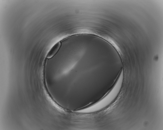 X0000093741142200710231206