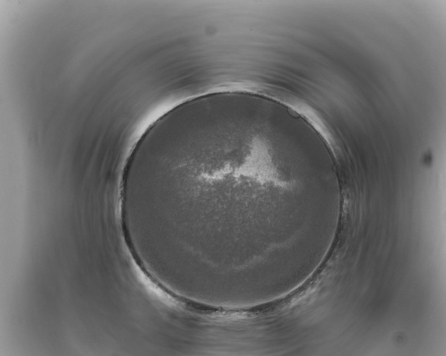 X0000093741143200710231206