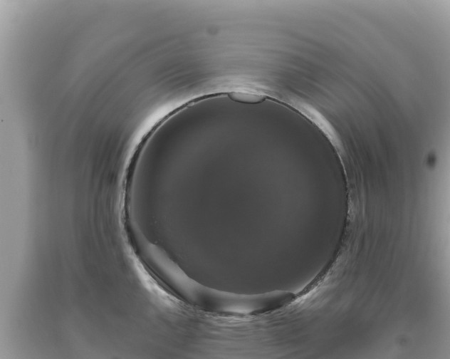 X0000093741144200710231206