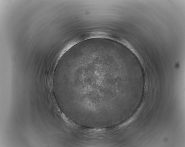 X0000093741145200710231206