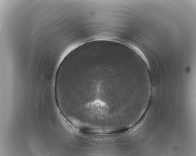 X0000093741146200710231206
