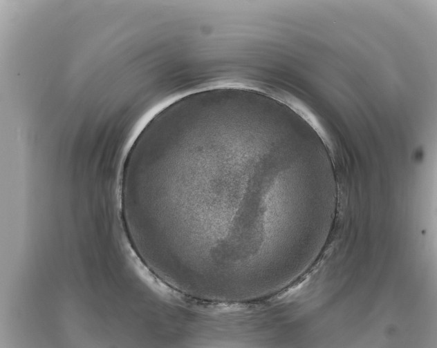 X0000093741148200710231206