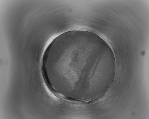 X0000093741152200710231206