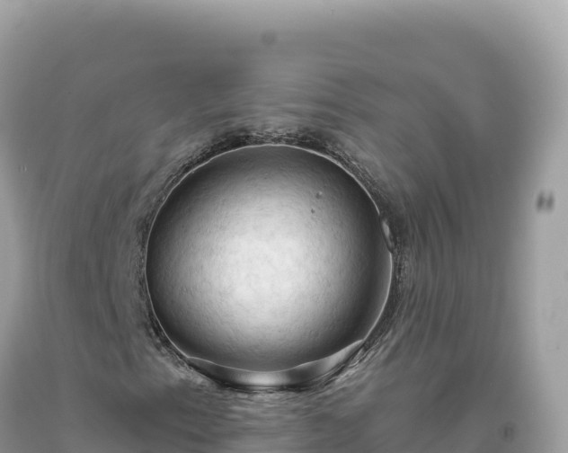 X0000093741153200710231206