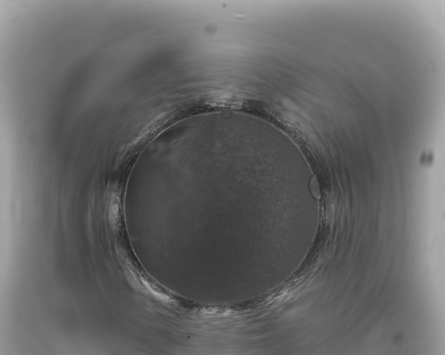 X0000093741154200710231206