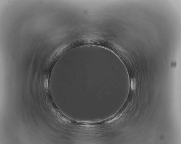 X0000093741155200710231206