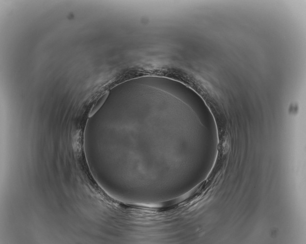 X0000093741156200710231206