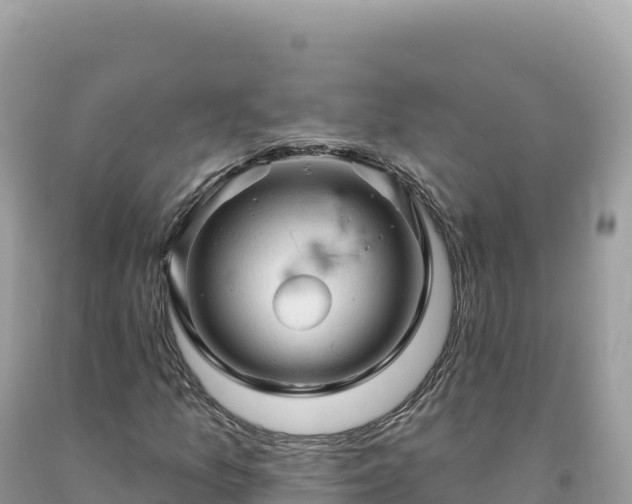 X0000093741157200710231206