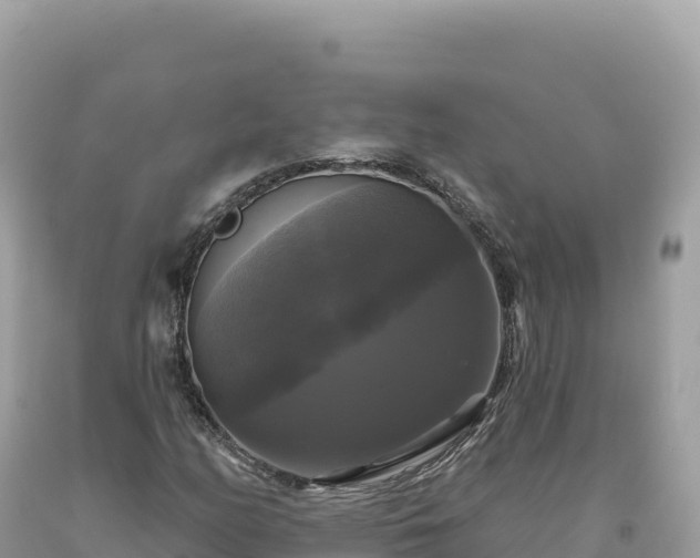 X0000093741158200710231206