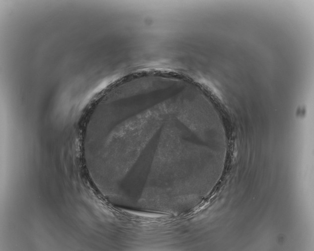 X0000093741159200710231206