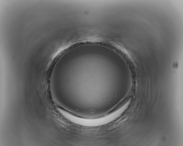 X0000093741160200710231206