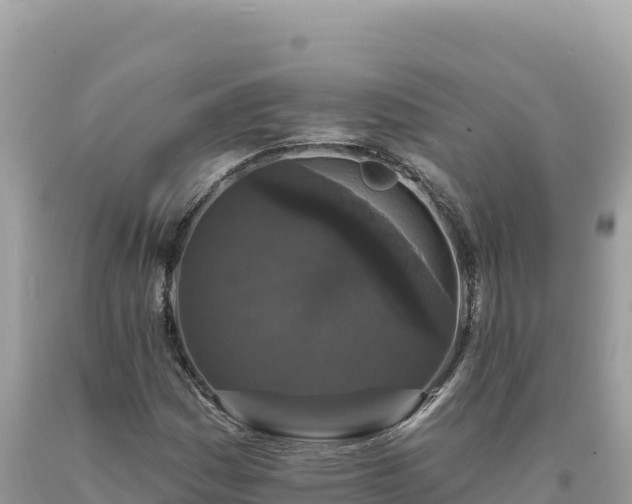 X0000093741161200710231205