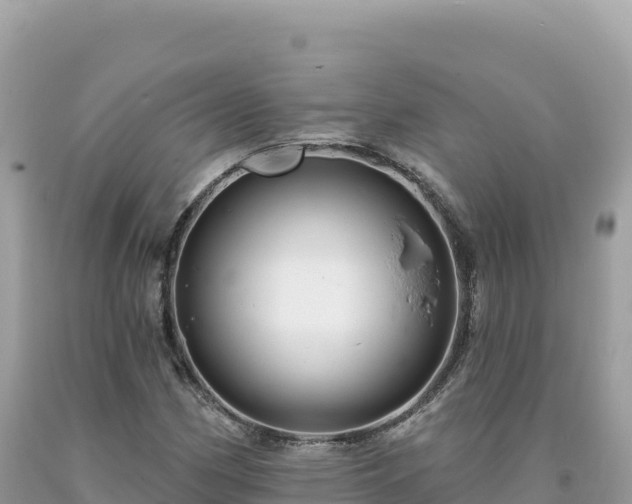 X0000093741162200710231205
