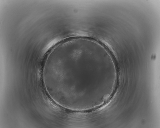 X0000093741163200710231205