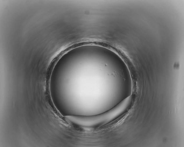 X0000093741165200710231205