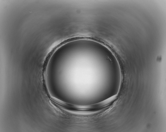 X0000093741168200710231205