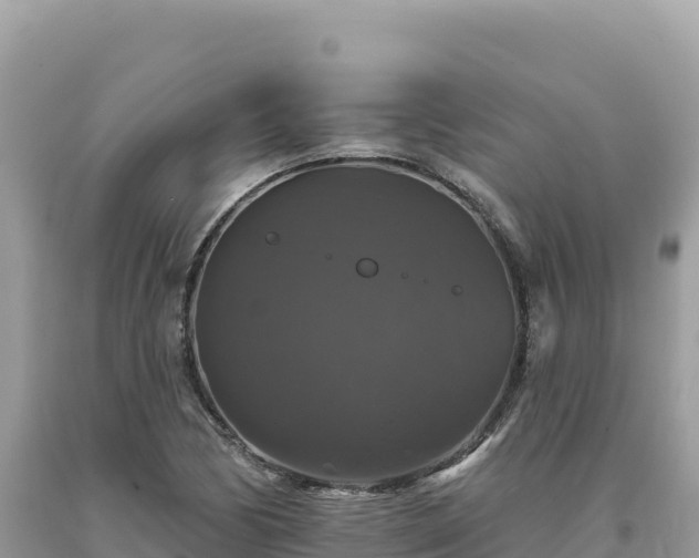 X0000093741170200710231205