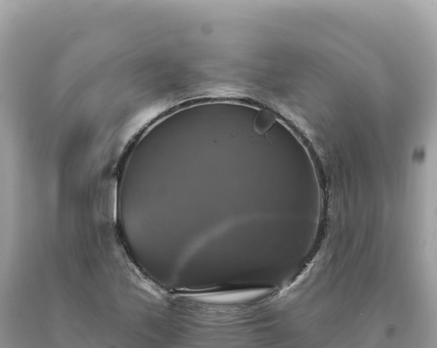 X0000093741171200710231205