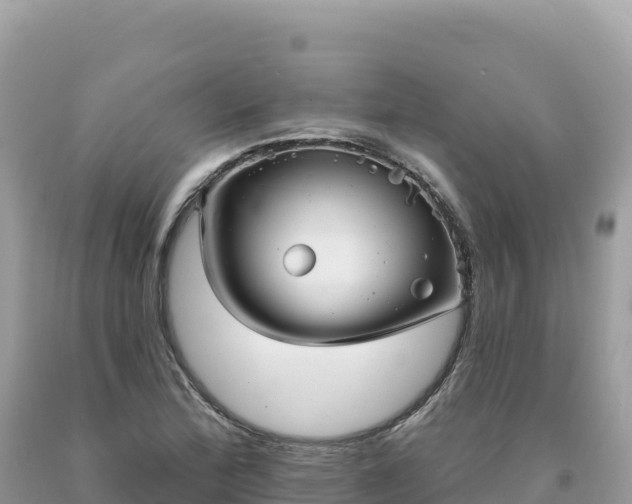 X0000093741172200710231205