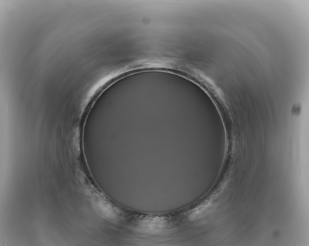 X0000093741174200710231205