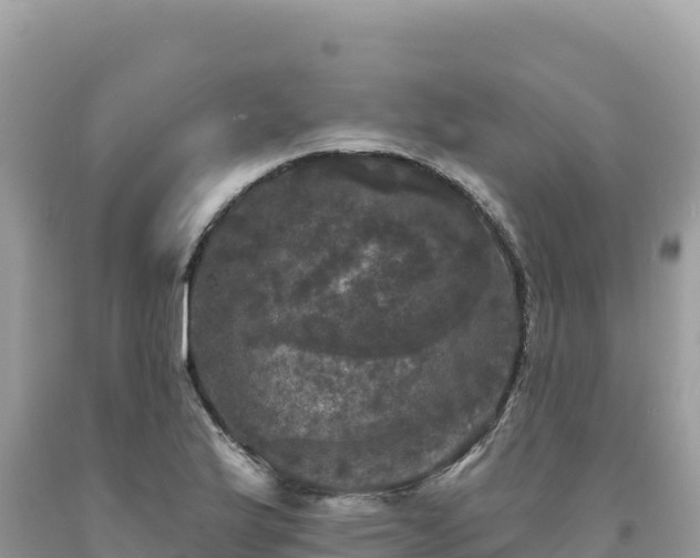 X0000093741175200710231205