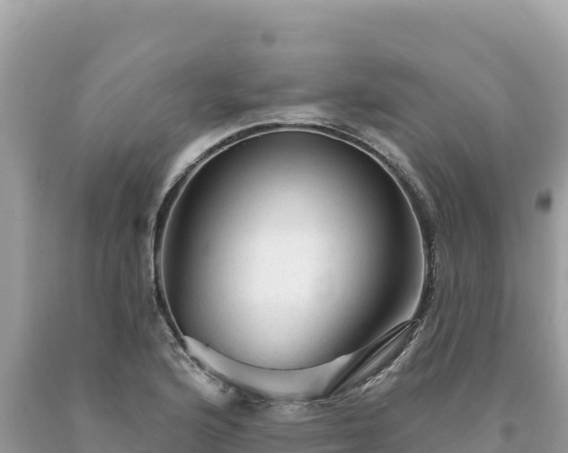 X0000093741176200710231205