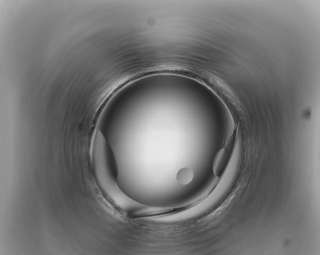 X0000093741177200710231205
