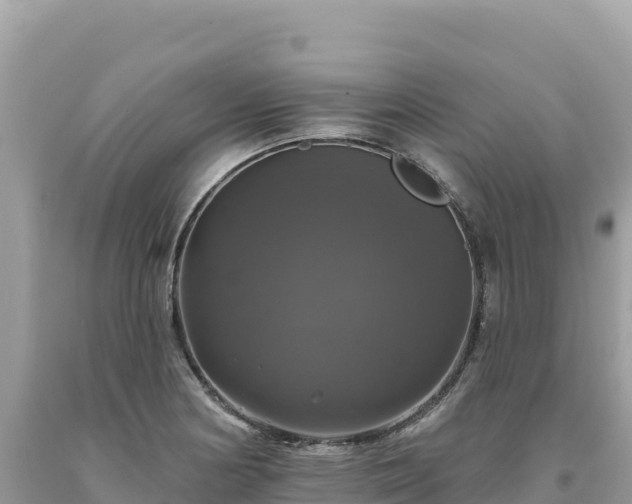X0000093741178200710231205