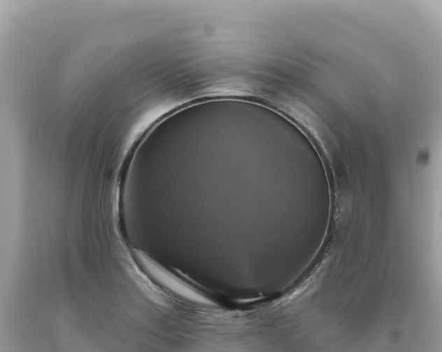 X0000093741179200710231205