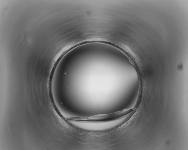 X0000093741181200710231205