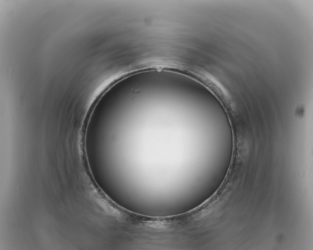 X0000093741182200710231205