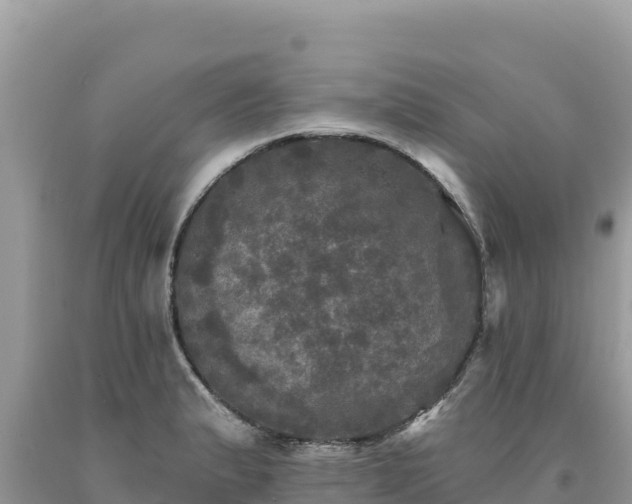 X0000093741183200710231205