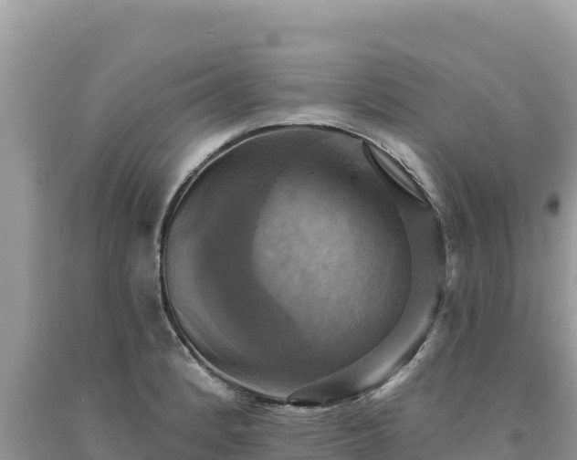 X0000093741184200710231205