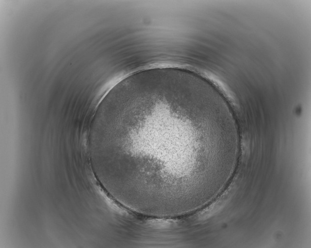X0000093741185200710231205