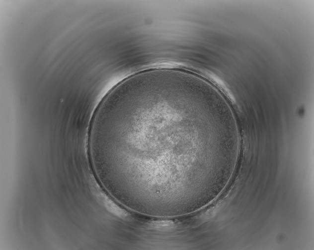 X0000093741186200710231205