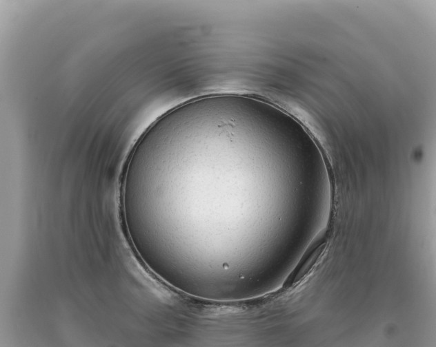 X0000093741187200710231205