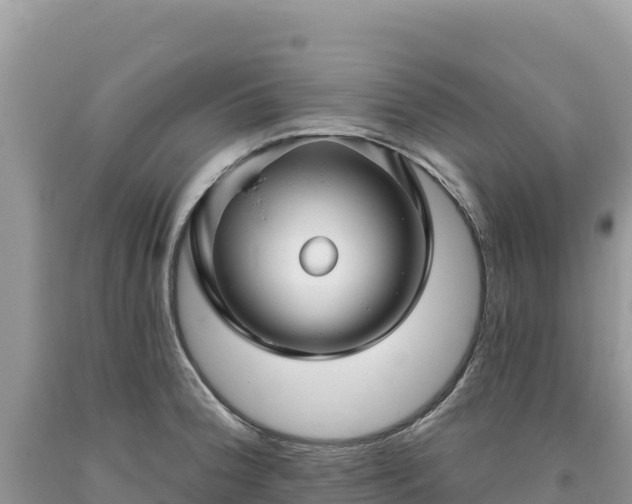 X0000093741188200710231205