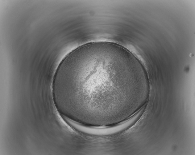 X0000093741189200710231205