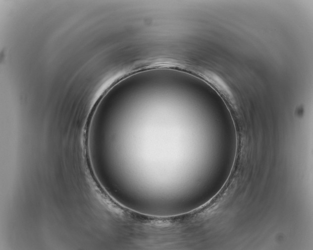 X0000093741190200710231205