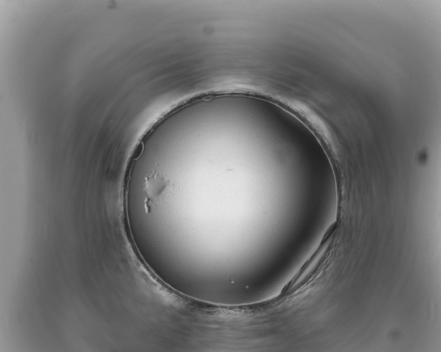 X0000093741191200710231205