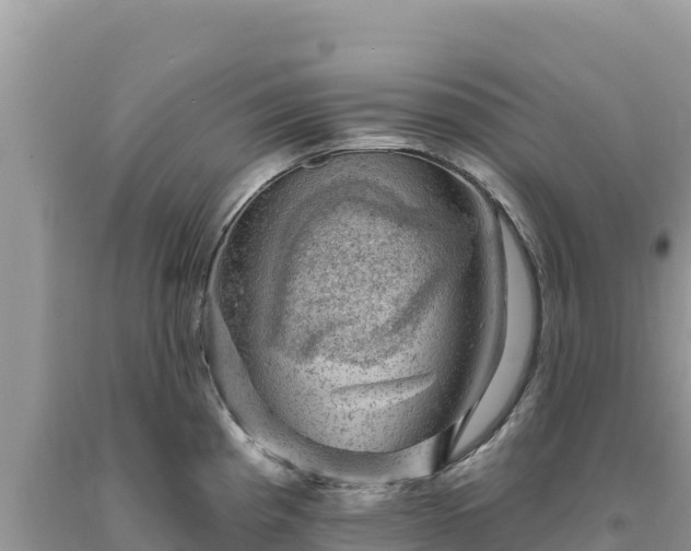 X0000093741193200710231205