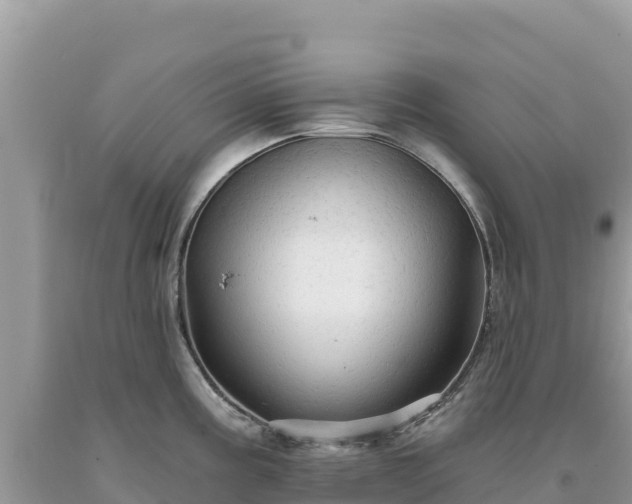 X0000093741195200710231205