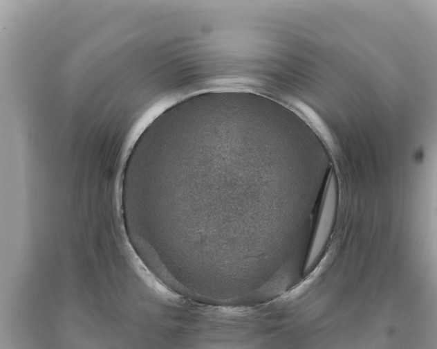 X0000093741196200710231205