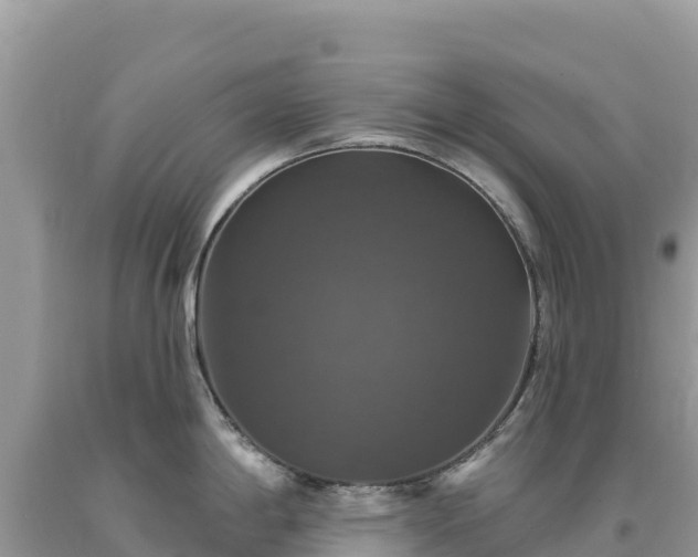 X0000093741198200710231205