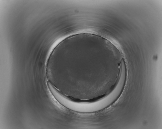 X0000093741200200710231205