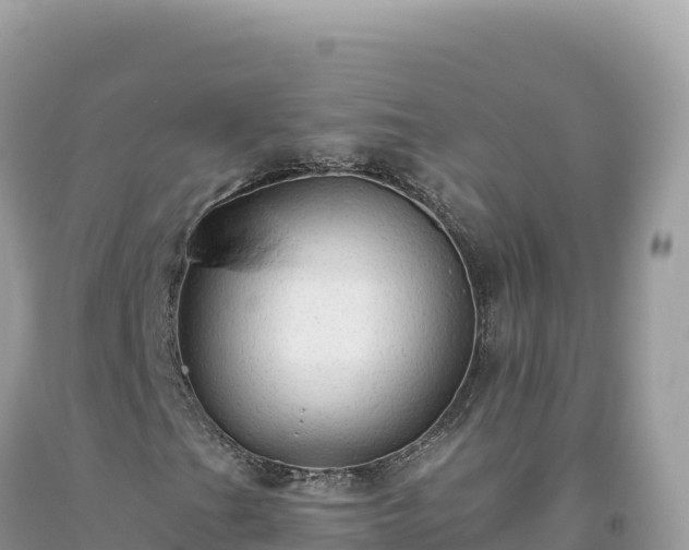 X0000093741201200710231204
