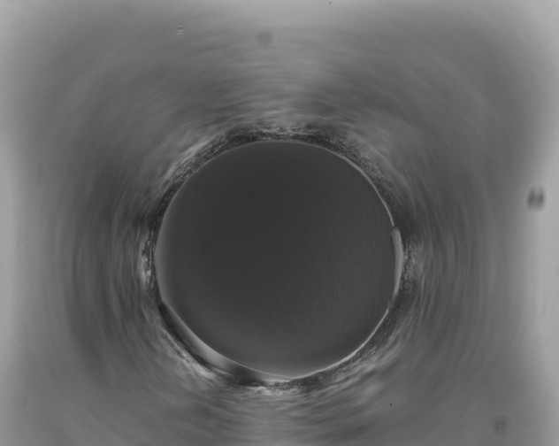 X0000093741202200710231204